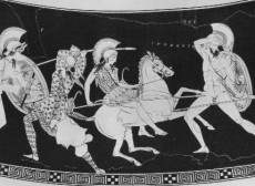 Amazons