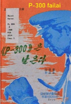 P-300