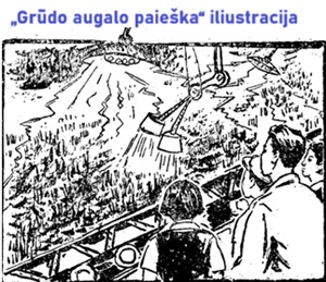 Grdo augalo paieka