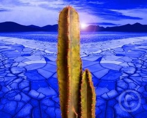 Blue desert