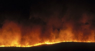 Grass Fire