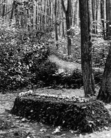 Tolstojaus kapas