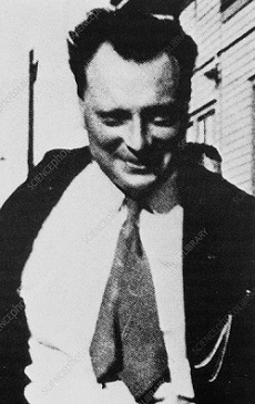 Volfgangas Paulis