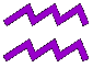 Capricorn