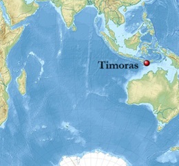 Timoras emlapyje