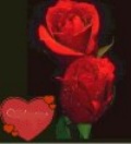 Valentine