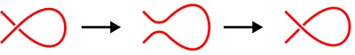 Reidemeisterio jimai. No.1